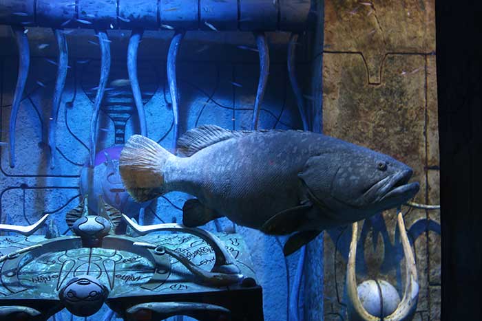 アトランティスザパームのロストチェンバー水族館
